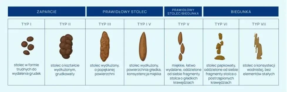 Jakie badania z kału pomogą w diagnozie problemów zdrowotnych?